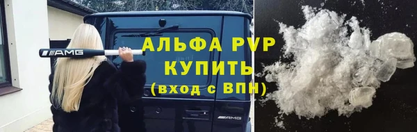 сатива Баксан