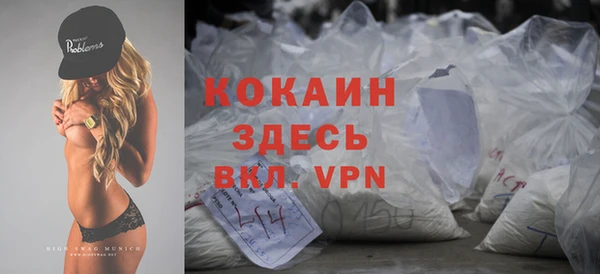 сатива Баксан