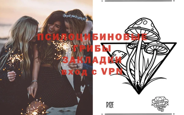 2c-b Балахна