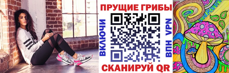 Галлюциногенные грибы GOLDEN TEACHER  наркошоп  Жуковка 